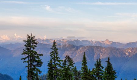 Photo for Green trees on top of Canadian Mountain Landscape. Sunny Sunset Sky. Nature Background. Seymour, North Vancouver, BC, Canada. - Royalty Free Image