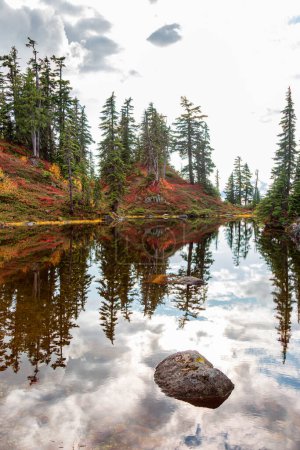 Photo for Lake on top of a Mountain with colorful wild flowers and trees in Fall Season. Squamish, British Columbia, Canada. Panorama - Royalty Free Image