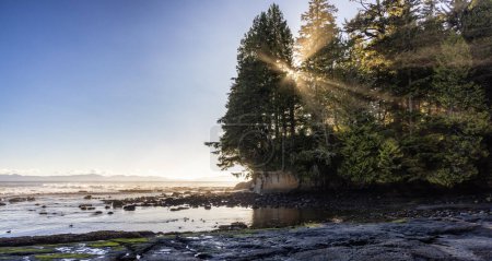 Photo for Rocky Shore on the Pacific Ocean Coast. Sunny Sunset. Botanical Beach, Port Renfrew, Vancouver Island, BC, Canada. Nature Background - Royalty Free Image