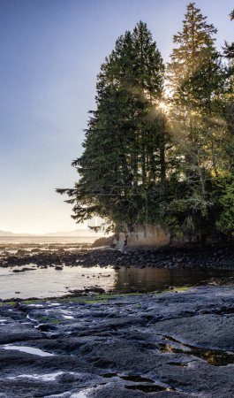 Photo for Rocky Shore on the Pacific Ocean Coast. Sunny Sunset. Botanical Beach, Port Renfrew, Vancouver Island, BC, Canada. Nature Background - Royalty Free Image