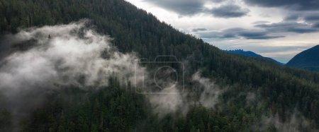 Téléchargez les photos : Paysage montagneux canadien couvert de nuages. Nature aérienne Arrière-plan. Île de Vancouver, C.-B., Canada. - en image libre de droit
