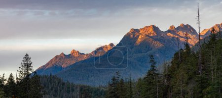 Photo for Colorful Sunrise over Canadian Mountain Landscape. Forest and Trees. Vancouver Island, BC, Canada. - Royalty Free Image