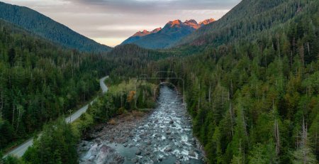 Téléchargez les photos : Route panoramique par les arbres et la rivière avec des montagnes en arrière-plan. Lever de soleil coloré. Île de Vancouver, Colombie-Britannique, Canada. - en image libre de droit