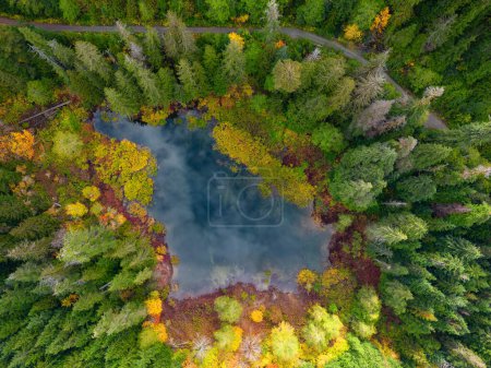 Foto de Lago Azul junto a los vibrantes árboles en la montaña del Paisaje Canadiense. Antecedentes de naturaleza aérea. Vancouver Island, BC, Canadá. - Imagen libre de derechos