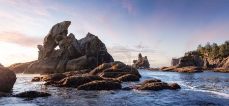 Photo for Rocky Shore on the West Coast of Pacific Ocean. Washington, United States of America. Nature Background. Sunset Sky - Royalty Free Image