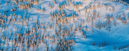 Téléchargez les photos : Arbres et neige au sommet du paysage montagneux. Coucher de soleil ensoleillé. Saison d'hiver. Colombie-Britannique, Canada. - en image libre de droit