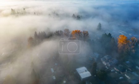 Photo for Neighborhood streets and homes covered in fog. Residential City suburb. Aerial View. BC, Canada. - Royalty Free Image
