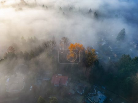 Foto de Vecindarios y casas cubiertas de niebla. Barrio residencial de la ciudad. Vista aérea. BC, Canadá. - Imagen libre de derechos