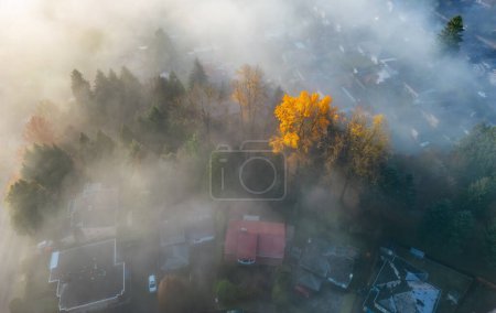 Photo for Neighborhood streets and homes covered in fog. Residential City suburb. Aerial View. BC, Canada. - Royalty Free Image