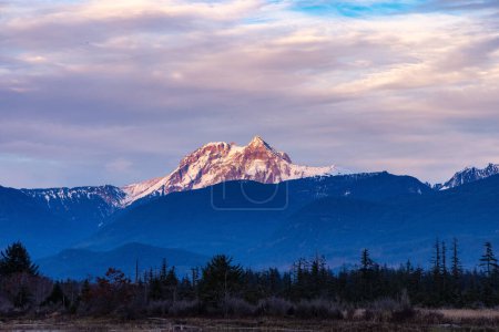 Photo for Wetlands surrounded by Mountains in Canadian Nature. Fall Season, Sunset Sky. Squamish, British Columbia Canada. - Royalty Free Image