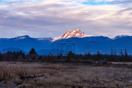 Photo for Wetlands surrounded by Mountains in Canadian Nature. Fall Season, Sunset Sky. Squamish, British Columbia Canada. - Royalty Free Image