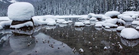 Photo for Glacier Lake Covered in Snow in Winter Time. Canadian Nature Landscape Background. Joffre Lake, BC, Canada. - Royalty Free Image