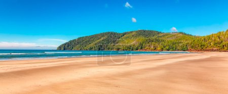 Canadian Nature Landscape on the West Coast of Pacific Ocean. Sandy Beach. Background Panorama. San Josef Bay, Vancouver Island, BC, Canada.