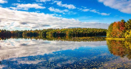 Foto de Árboles vibrantes y paisaje junto al lago. Nueva Escocia, Canadá. - Imagen libre de derechos