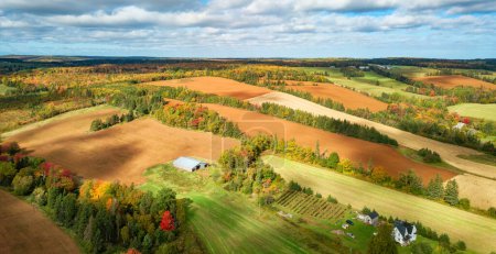 Photo for Farm Fields landscape view sunny day. Prince Edward Island, Canada. Aerial Panorama - Royalty Free Image