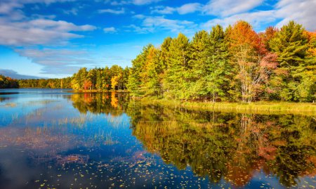 Foto de Árboles vibrantes y paisaje junto al lago. Nueva Escocia, Canadá. - Imagen libre de derechos
