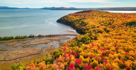 Foto de Árboles vibrantes y paisaje en la costa este del Océano Atlántico. Quebec, Canadá. - Imagen libre de derechos