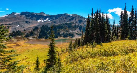 Téléchargez les photos : Canadian Nature Mountain Landscape Background ". Garibaldi, Colombie-Britannique, Canada. - en image libre de droit