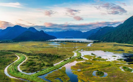 Téléchargez les photos : Vue aérienne du paysage montagneux, du lac et des marais du Canada. Nature Contexte. BC, Canada. - en image libre de droit