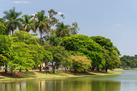 Photo for Beautiful view city lagoon on green area in Belo Horizonte, Minas Gerais, Brazil - Royalty Free Image