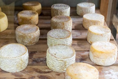 Téléchargez les photos : View to artisan cheese with white mold on local store in the central market, Belo Horizonte, Minas Gerais, Brazil - en image libre de droit