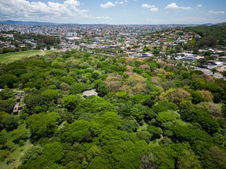 Foto de Hermosa vista al área verde cerca de edificios en Belo Horizonte, Minas Gerais, Brasil - Imagen libre de derechos