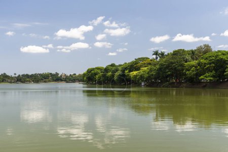 Foto de Hermosa vista de la laguna de la ciudad en la zona verde en Belo Horizonte, Minas Gerais, Brasil - Imagen libre de derechos