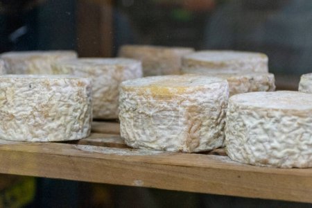 Foto de Vista al queso artesanal con moho blanco en tienda local en el mercado central, Belo Horizonte, Minas Gerais, Brasil - Imagen libre de derechos