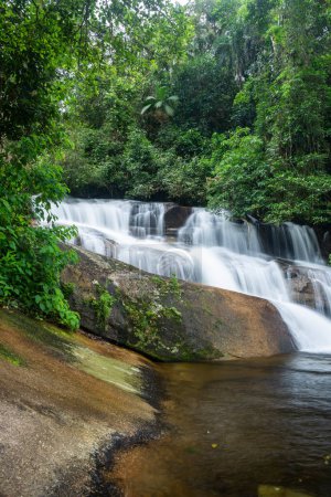 Foto de Beautiful view to green rainforest waterfall in jungle area near Paraty, Rio de Janeiro, Brazil - Imagen libre de derechos