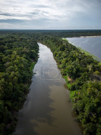 Foto de Beautiful aerial drone view to large rivers and green rainforest in the Brazilian Amazon - Imagen libre de derechos