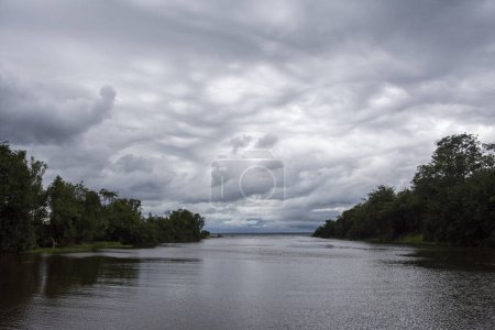 Foto de Hermosa vista al gran río, grandes nubes de lluvia y selva amazónica verde, cerca de Manaus, estado de Amazonas, Brasil - Imagen libre de derechos