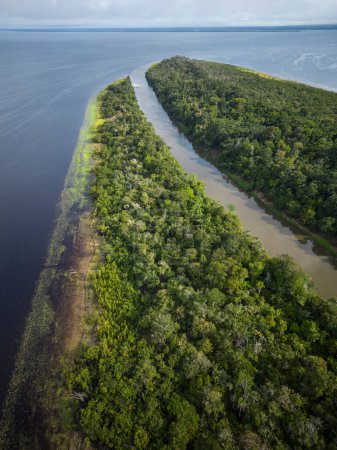 Foto de Hermosa vista aérea de drones a grandes ríos y selva verde en la Amazonía brasileña - Imagen libre de derechos