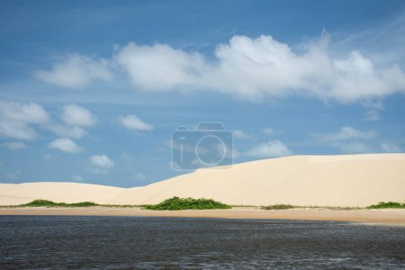 Photo for Beautiful view to yellow sand dune by Preguias River in Cabur, Maranho, Brazil. - Royalty Free Image
