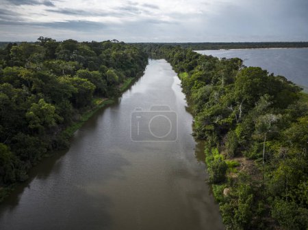 Photo for Beautiful aerial drone view to large rivers and green rainforest in the Brazilian Amazon - Royalty Free Image