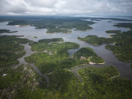 Photo for Beautiful aerial drone view to large rivers and green rainforest in the Brazilian Amazon - Royalty Free Image