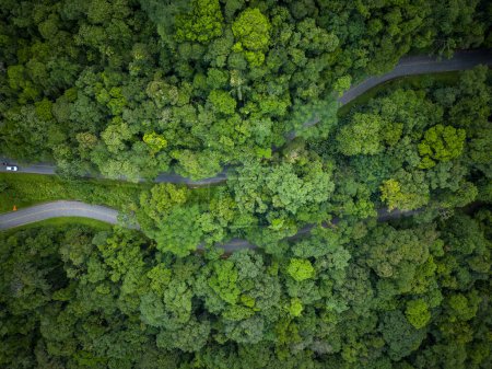 Schöne Luftaufnahme zur scharfen Kurve auf der Straße in den grünen Regenwaldbergen, Guaraqueaba-Gebiet, Paran, Brasilien.