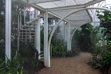 Téléchargez les photos : Belle vue à l'intérieur de la serre sur le jardin botanique de Curitiba, capitale de Paran, Brésil. - en image libre de droit