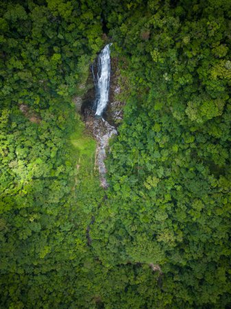 Photo for Beautiful aerial view to green atlantic rainforest waterfall in Guaraqueaba area, Paran, Brazil. - Royalty Free Image