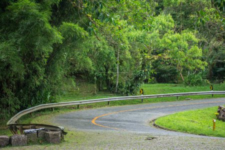 Photo for Beautiful view to green atlantic rainforest road in Serra da Graciosa, Paran, Brazil. - Royalty Free Image