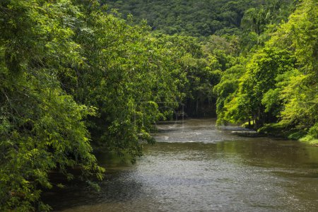 Téléchargez les photos : Belle vue sur la zone verte et la rivière de la ville dans la petite ville de Morretes, Paran, Brésil. - en image libre de droit