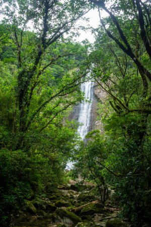 Foto de Hermosa vista a las verdes cataratas de la selva atlántica en la Reserva Ecológica Salto Morato, Guaraqueaba, Paran, Brasil. - Imagen libre de derechos