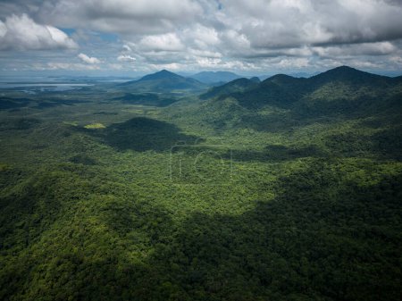 Téléchargez les photos : Belle vue aérienne sur les montagnes verdoyantes de la forêt tropicale dans la région de Guaraqueaba, Paran, Brésil. - en image libre de droit