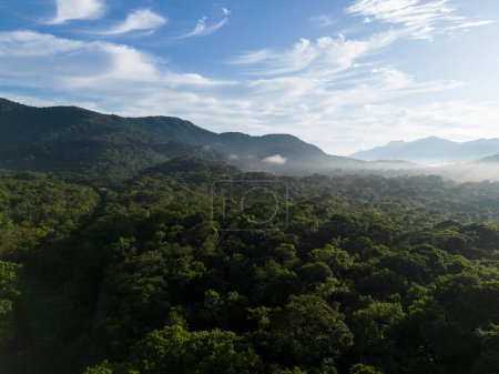 Photo for Beautiful aerial view to green rainforest mountains in Guaraqueaba area, Paran, Brazil. - Royalty Free Image