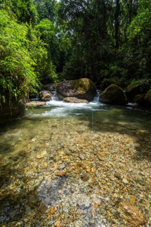 Foto de Hermosa vista a la piscina verde salvaje del río selva atlántica, Serrinha do Alambari, Río de Janeiro, Brasil - Imagen libre de derechos