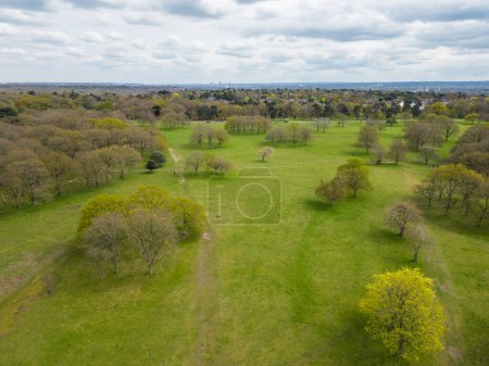 Téléchargez les photos : Belle vue aérienne sur la zone verte avec des arbres à Richmond Park, Londres, Royaume-Uni - en image libre de droit