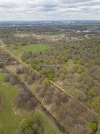Photo for Beautiful aerial view to green area with trees in Richmond Park, London, UK - Royalty Free Image