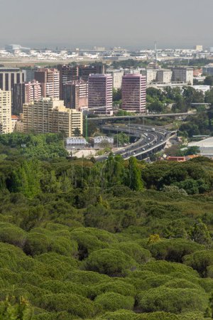 Téléchargez les photos : Belle vue sur l'espace vert dans le parc Monsanto et les bâtiments de la ville à Lisbonne, Portugal - en image libre de droit