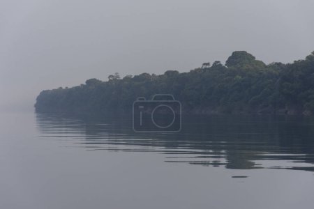 Photo for Beautiful view to green amazon rainforest and reflections on the water in Anavilhanas Archipelago, Negro River, Amazonas, Brazil - Royalty Free Image