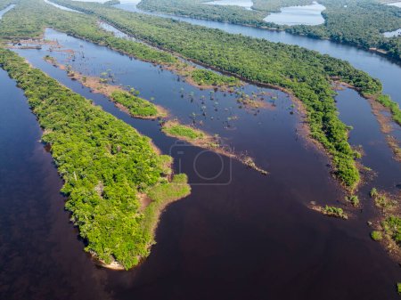 Téléchargez les photos : Belle vue aérienne sur la forêt amazonienne verte archipel de l'île Anavilhanas dans la rivière Negro, Amazonas, Brésil - en image libre de droit