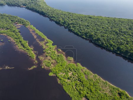 Foto de Hermosa vista aérea a la selva amazónica verde archipiélago de la isla de Anavilhanas en el río Negro, Amazonas, Brasil - Imagen libre de derechos